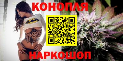 стаф Лесосибирск