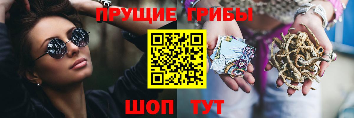 Псилоцибиновые грибы прущие грибы Чапаевск