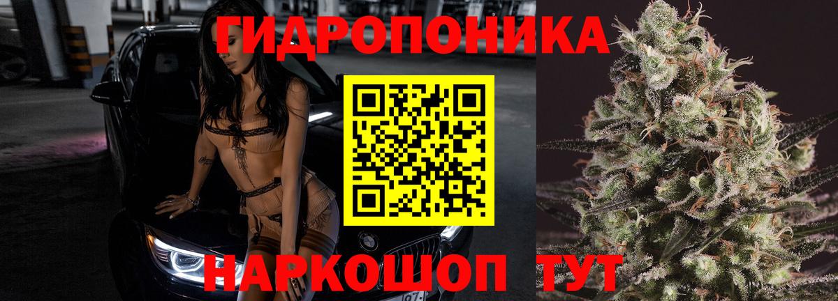 МАРИХУАНА VHQ  Вход с VPN  Каннабис конопля  Бошки Шишки Bruce Banner  Чапаевск 